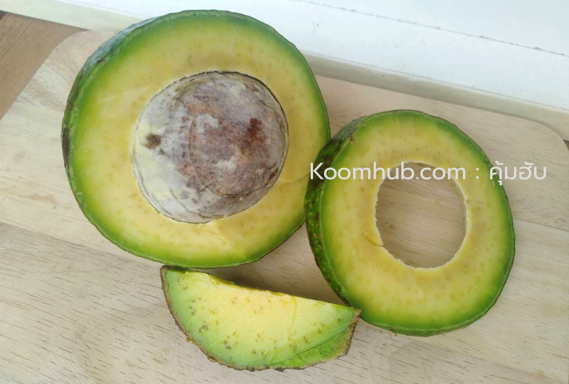 อะโวคาโด้ (Avocado) สดจากสวน ปากช่อง เขาใหญ่ - 2 กิโลกรัม