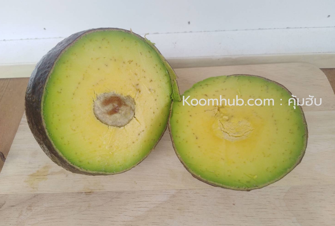 อะโวคาโด้ (Avocado) สดจากสวน ปากช่อง เขาใหญ่ - 2 กิโลกรัม