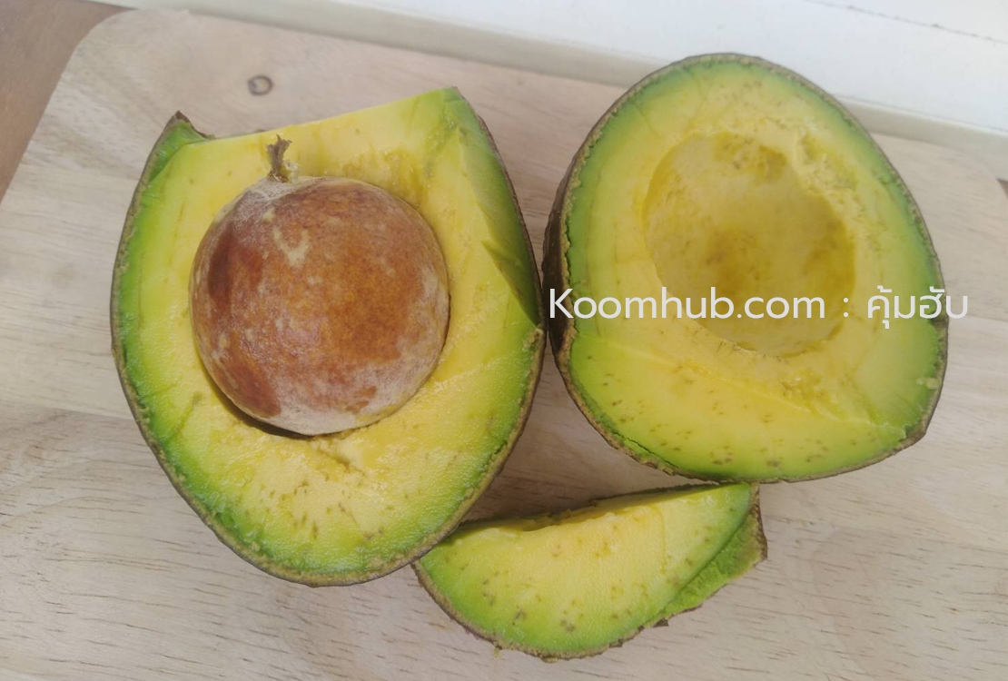 อะโวคาโด้ (Avocado) สดจากสวน ปากช่อง เขาใหญ่ - 2 กิโลกรัม