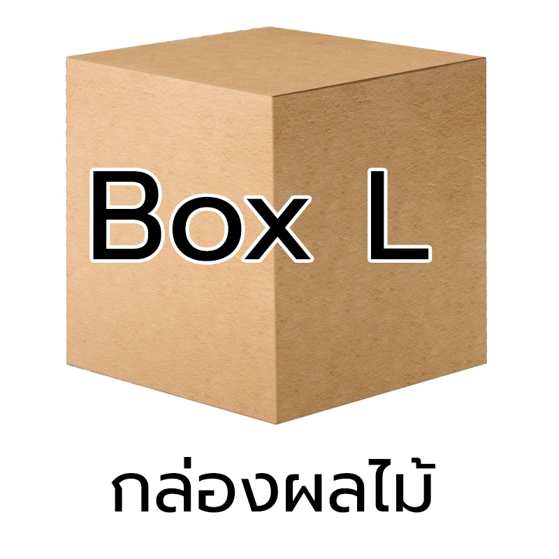 P019 - กล่อง ผลไม้ - L (10 ชิ้น)